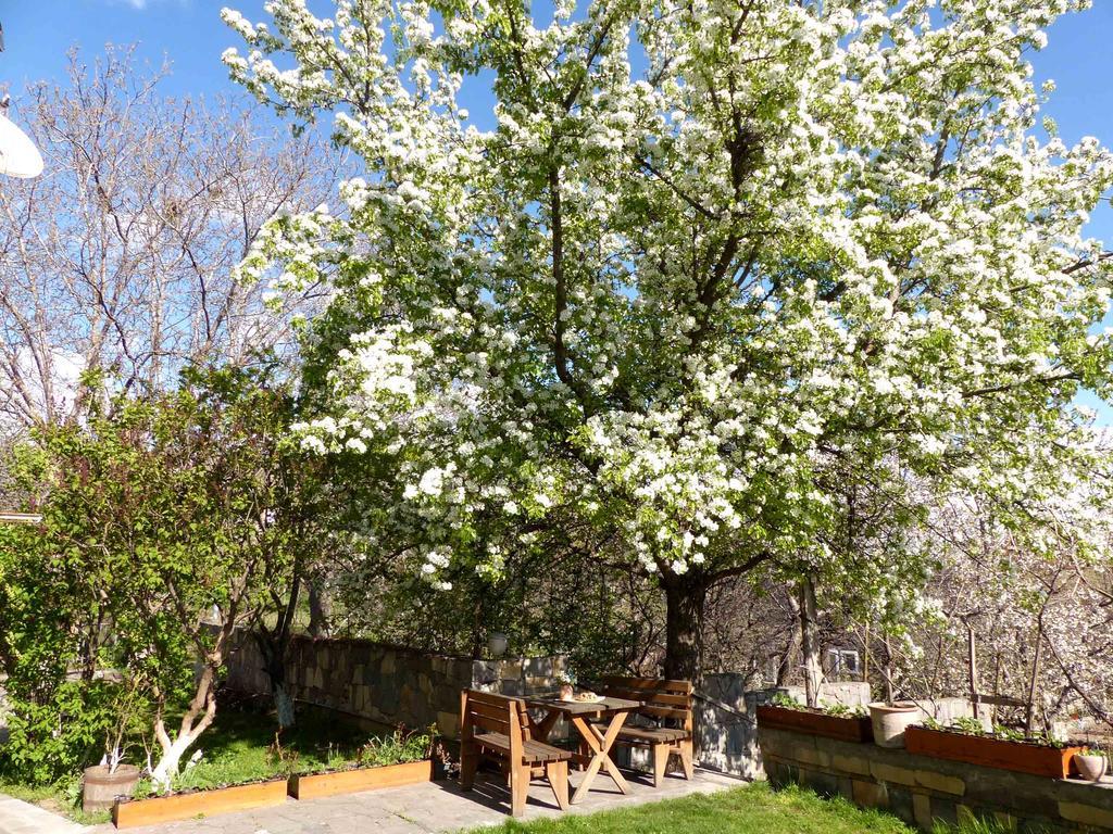 Green Stone Boutique Hotel Yeghegnadzor エクステリア 写真